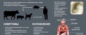 � ������ ��������������� �������� ��������!