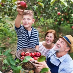 ��������� ������� �� ������ 