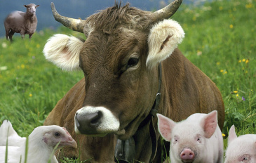 � ���������� ������ ���������� �������������������� ��������!