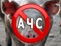 ������� ��������� "����������� ���� ������"