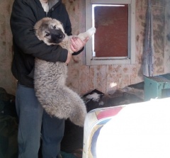 ������������ ���������� ����������� ��������� ����� ������� ������� �� ����� ����� ������������� ������ �����