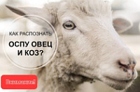 ������� ��������� � ��������!