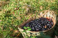 �������� ������� �� �������������� ������� � ����� �������� �� ���������� �������� �� ��������� � ����������� ���������