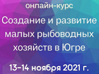 � ���� ������� ������-���� ��������� � �������� ����� ���������� �������� � ����