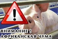 ������������ �� �������� ������������ �������� �������������� ��������