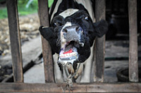 ������� ��������� �� ������������ ����� ��������